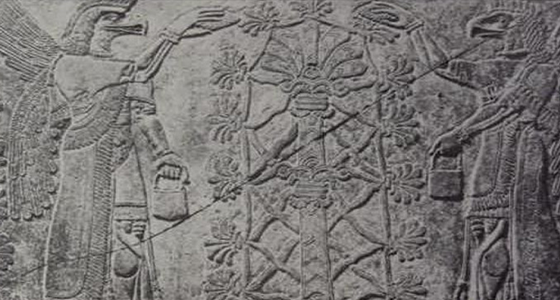 historie konopí šaman